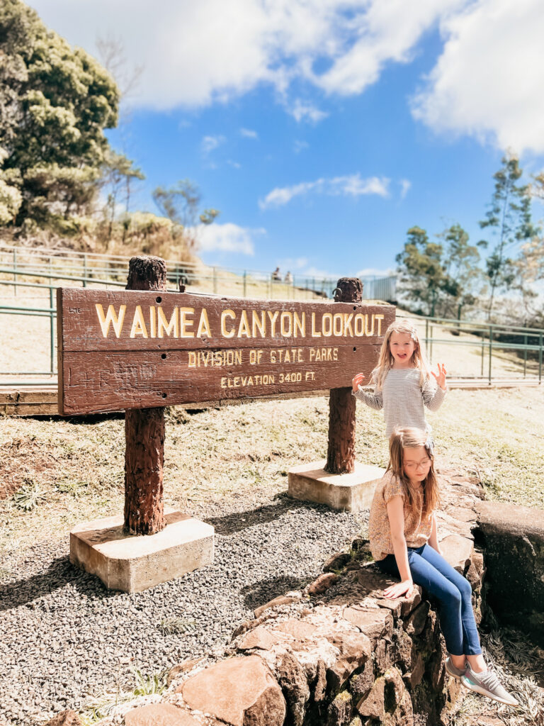 Waimea canyon lookout