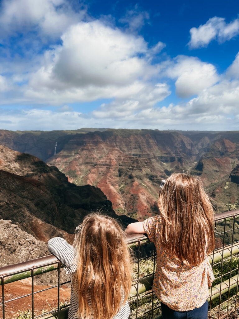 Waimea canyon drive with kids