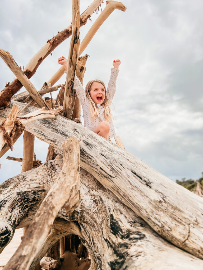 driftwood at lydgate beach park