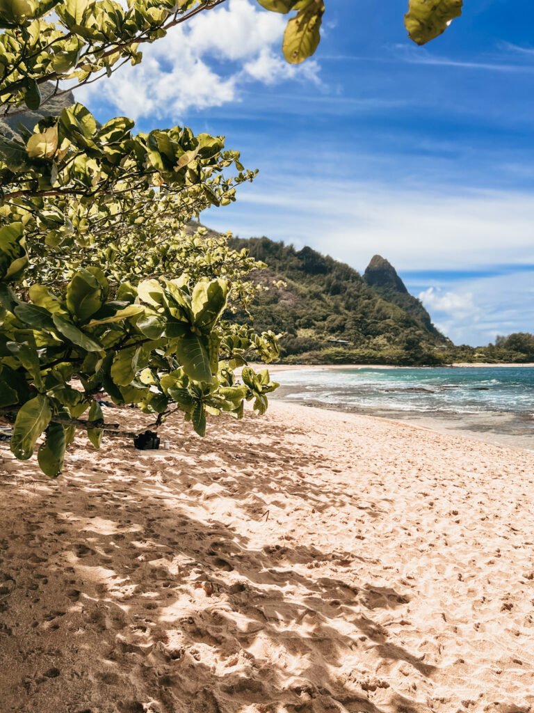 shady area at tunnels beach