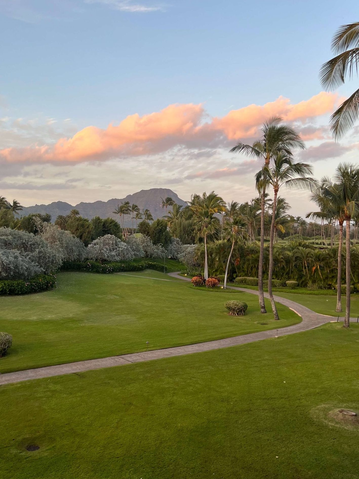 grounds at a hotel in Kauai