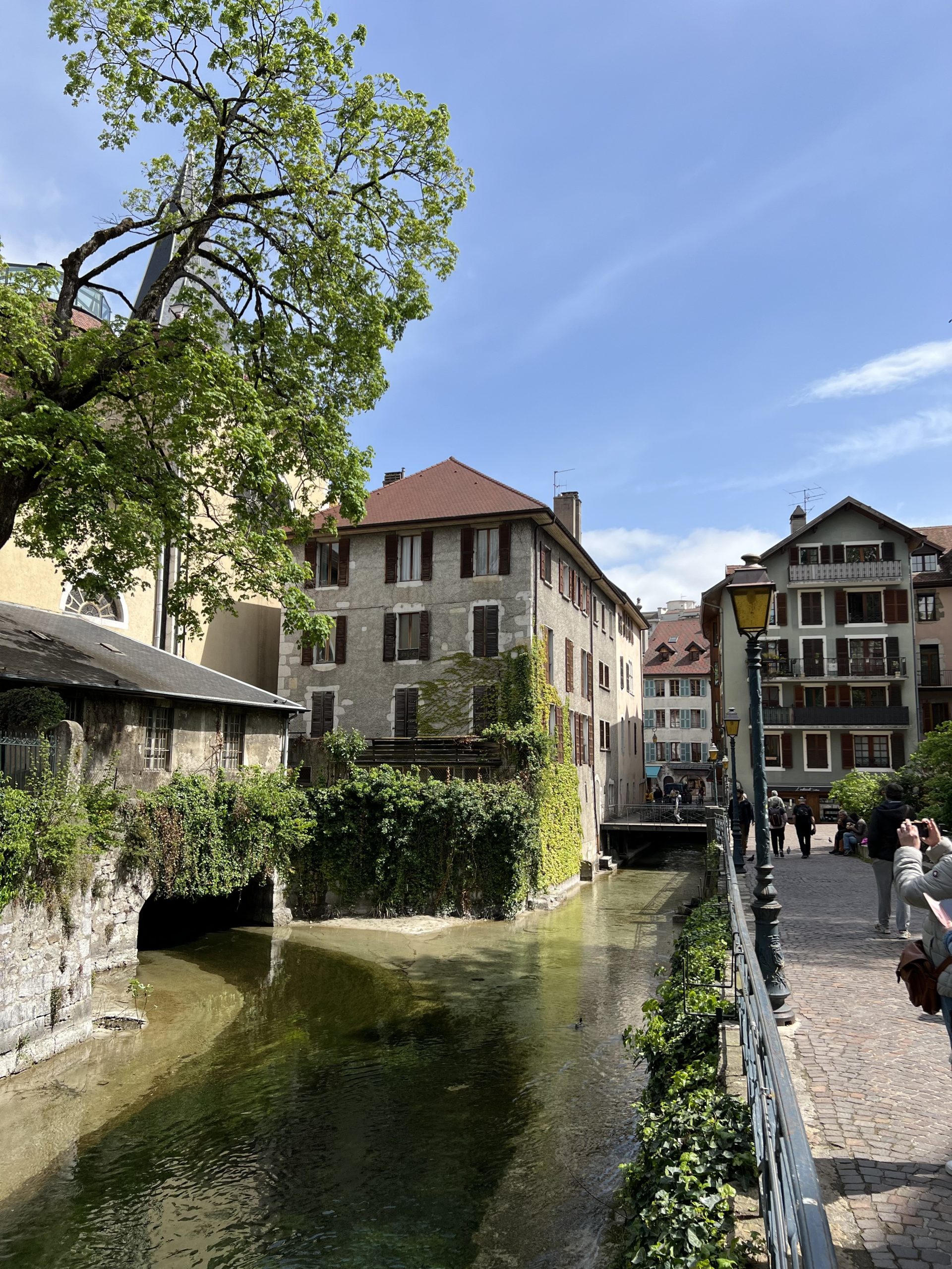 view of the river and architecture in annecy france